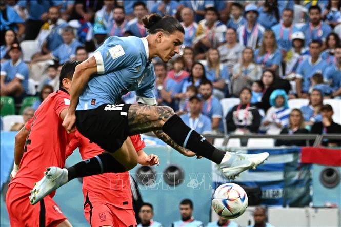 Bóng được căng ngang từ cánh trái để tiền đạo Uruguay Darwin Nunez (trong ảnh) băng vào dứt điểm cận thành nhưng lại ra chân hụt. Ảnh: AFP/ TTXVN