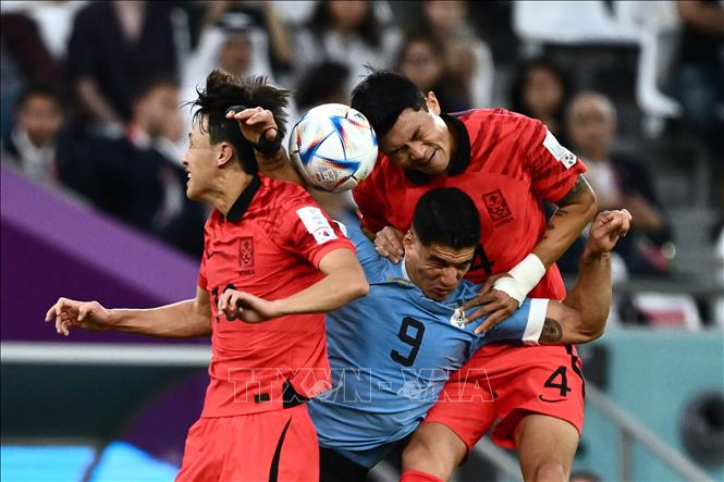 Pha tranh bóng quyết liệt giữa tiền đạo Uruguay Luis Suarez (giữa) với các cầu thủ Lee Jae-sung (trái) và Kim Min-jae của Hàn Quốc trong trận đấu. Ảnh: AFP/ TTXVN