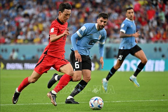 Tiền vệ Hàn Quốc Lee Jae-sung (trái) khéo léo đi bóng trước Rodrigo Bentancur của Uruguay. Ảnh: AFP/ TTXVN