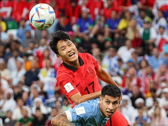 Pha tranh bóng bổng giữa Na Sang-ho (Hàn Quốc) và Mathias Olivera (Uruguay). Ảnh: Yonhap/ TTXVN