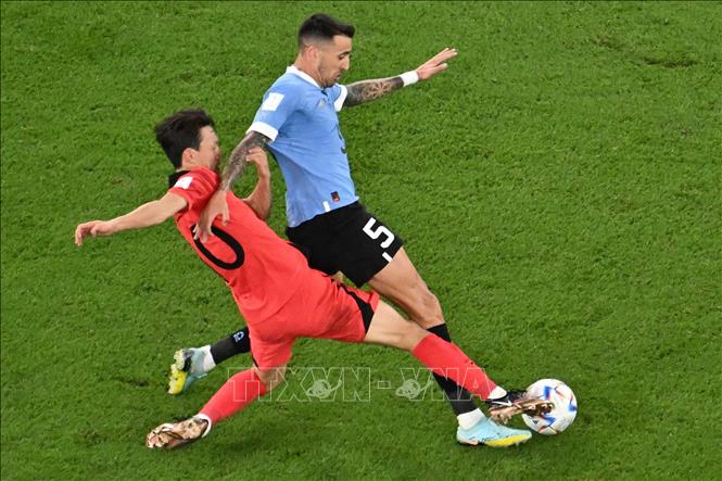 Các cầu thủ Hàn Quốc đang tạo được sức ép tấn công áp đảo lên hàng phòng ngự Uruguay nhưng vẫn chưa có bàn thắng khai thông bế tắc. Trong ảnh: Pha tranh bóng giữa tiền vệ Lee Jae-sung (trái) tuyển Hàn Quốc và Matias Vecino tuyển Uruguay. Ảnh: AFP/ TTXVN