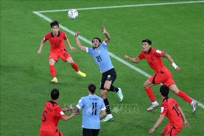 Tiền vệ Uruguay Federico Valverde (giữa) tranh bóng với các hậu vệ Kim Min-jae (phải) và Kim Moon-hwan (trái) tuyển Hàn Quốc. Ảnh: AFP/ TTXVN