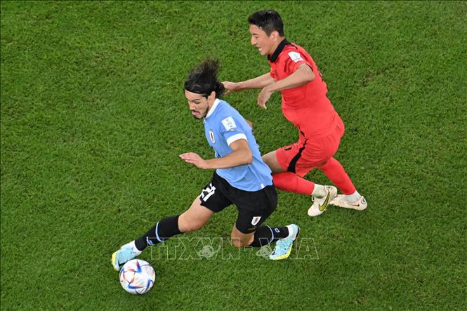 Pha tranh bóng giữa tiền đạo Uruguay Edinson Cavani (trái) và tiền vệ Hàn Quốc Jung Woo-young trong trận đấu. Ảnh: AFP/ TTXVN