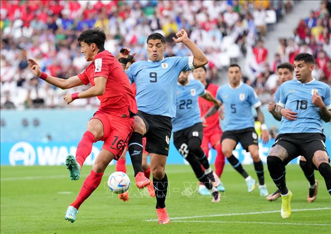 Pha tranh bóng quyết liệt giữa Hwang Ui-jo (trái) tuyển Hàn Quốc và Luis Suarez (thứ 2, trái) tuyển Uruguay. Ảnh: THX/ TTXVN