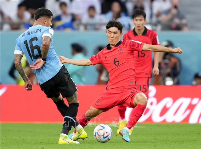 Tuyển thủ Hàn Quốc Hwang In-beom (phải) trong pha tranh bóng với Mathias Olivera tuyển Uruguay. Ảnh: THX/ TTXVN