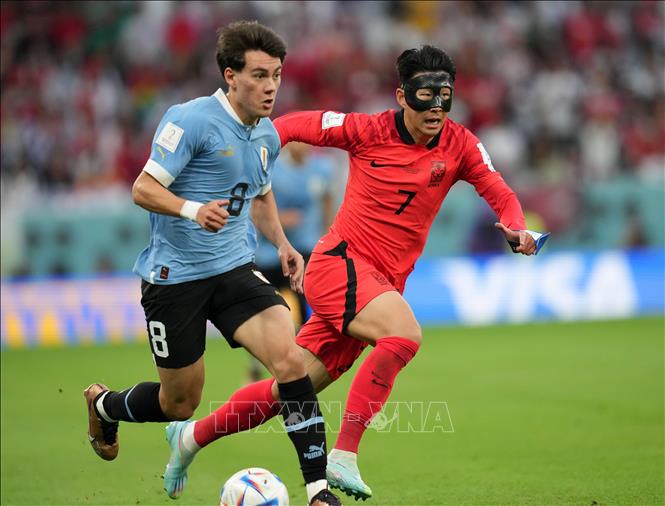 Pha tranh bóng giữa cầu thủ Uruguay Facundo Pellistri (trái) và cầu thủ Hàn Quốc Son Heung-min. Ảnh: THX/ TTXVN