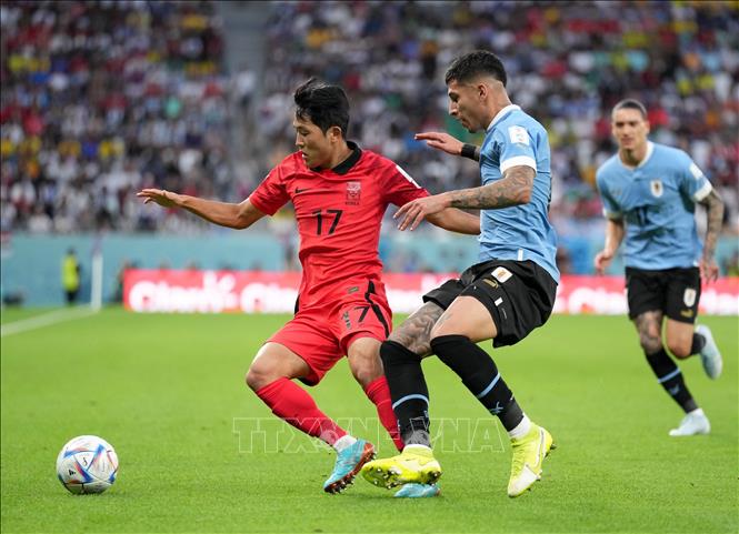 Pha tranh bóng giữa Mathias Olivera (phải) tuyển Uruguay và Na Sang-ho (trái) tuyển Hàn Quốc. Ảnh: THX/ TTXVN