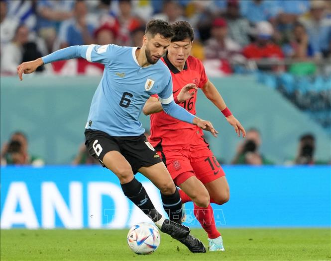 Pha tranh bóng quyết liệt giữa Rodrigo Bentancur (trái) tuyển Uruguay và Hwang Ui-jo tuyển Hàn Quốc. Ảnh: THX/ TTXVN