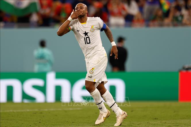 Trung vệ Andre Ayew (Ghana) ăn mừng bàn thắng gõ hòa 1-1 cho đội nhà. Ảnh: AFP/TTXVN