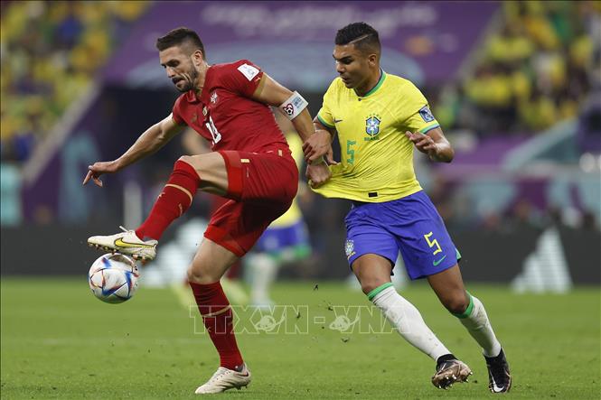 Trong ảnh: Pha tranh bóng giữa tiền đạo Serbia Dusan Tadic (trái) và tiền vệ phòng ngự Brazil  Casemiro. Ảnh: THX/TTXVN