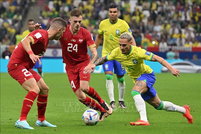 Trong ảnh: Tiền vệ Serbia Ivan Ilic (giữa) cản đường đi bóng của tiền đạo Brazil Antony (phải). Ảnh: AFP/TTXVN