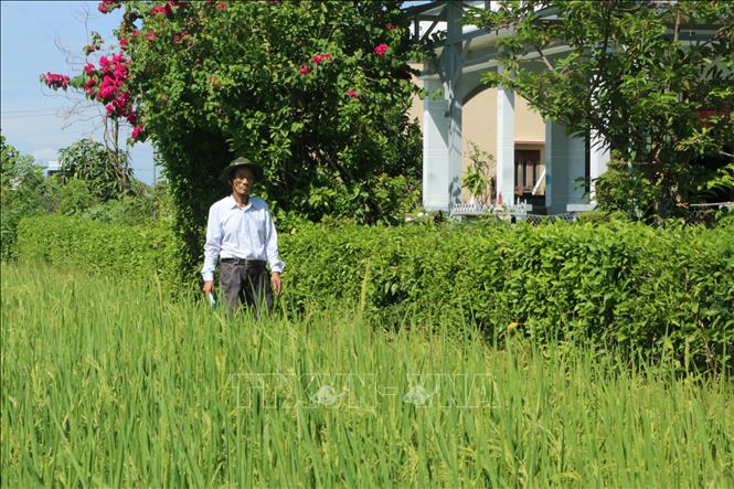 Ông Tô Văn Tồn đi tuyên truyền, vận động người dân tham gia các phong trào của Đảng và Nhà nước phát động. Ảnh: Thanh Bình-TTXVN