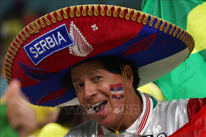 Trong ảnh: Cổ động viên cổ vũ cho Serbia trong trận gặp Brazil. Ảnh: AFP/TTXVN