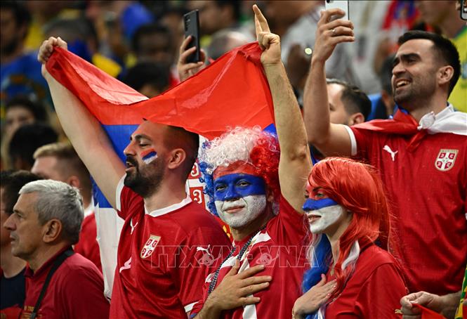 Trong ảnh: Cổ động viên Serbia cổ vũ đội nhà trong trận gặp Brazil. Ảnh: AFP/TTXVN