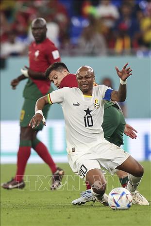 Andre Ayew (trước) của Ghana nỗ lực khống chế bóng trước cầu thủ của Bồ Đào Nha. Ảnh: THX/TTXVN