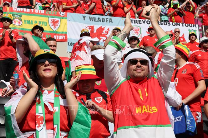 Trong ảnh: Cổ động viên đội tuyển Xứ Wales cổ vũ trong trận đấu gặp đội tuyển Iran. Ảnh: AFP/TTXVN
