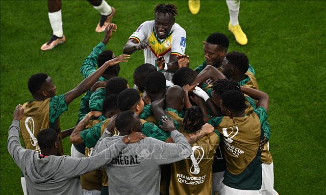 Các cầu thủ Senegal ăn mừng bàn thắng mở tỷ số của tiền đạo Boulaye Dia ở phút  41. Ảnh: AFP/TTXVN