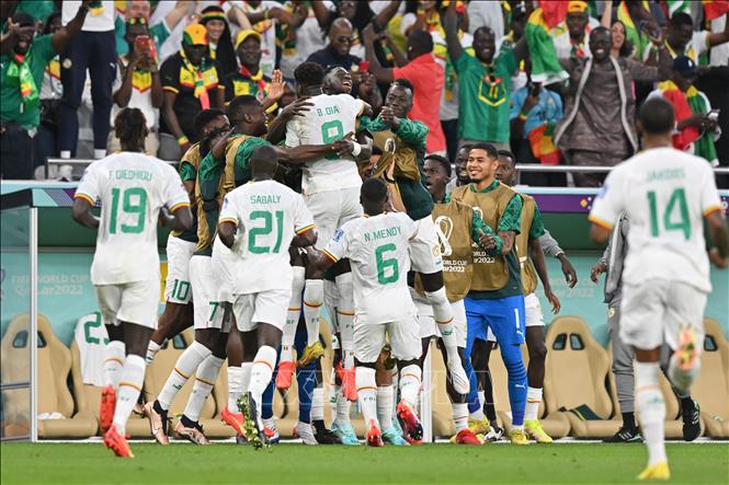 Các cầu thủ Senegal ăn mừng bàn thắng mở tỷ số của tiền đạo Boulaye Dia (9) ở phút  41. Ảnh: AFP/TTXVN