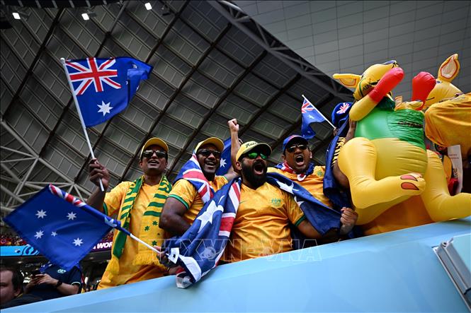 Các cổ động viên Australia cổ vũ cho đội nhà trong trận gặp Tunisia. Ảnh: AFP/TTXVN