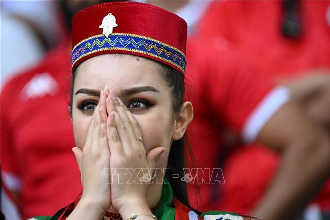 Nỗi buồn của cổ động viên Tunisia sau khi đội nhà để thua 0-1 trước Australia. Ảnh: AFP/TTXVN