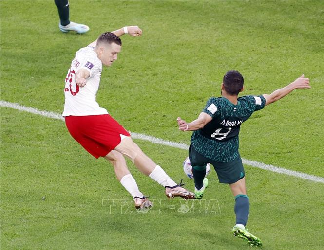 Pha lập công mở tỉ số cho Ba Lan của Piotr Zielinski (số 20) ở phút 39. Ảnh: Kyodo/ TTXVN