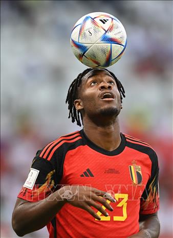 Pha khống chế bóng bổng của tiền đạo đội Bỉ Michy Batshuayi. Ảnh: THX/TTXVN