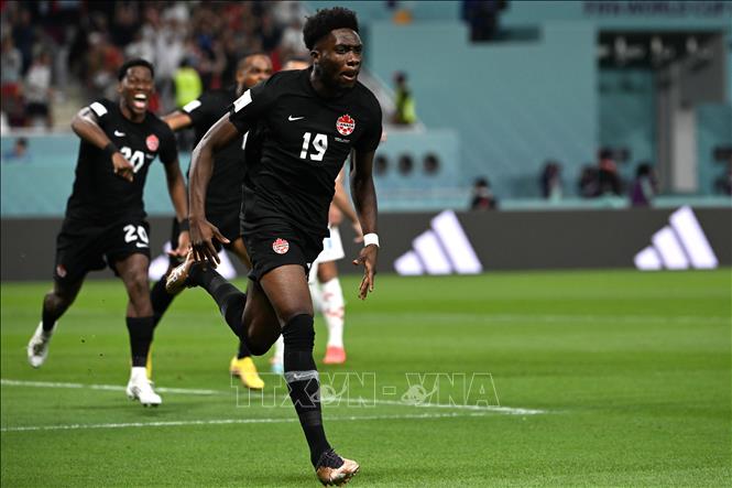 Tiền đạo Canada Alphonso Davies ăn mừng bàn thắng mở tỷ số cho đội nhà. Ảnh: AFP/TTXVN