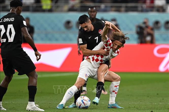 Trung vệ Canada's Stephen Eustaquio (sau) cản pha đi bóng của trung vệ Luka Modric (Croatia). Ảnh: AFP/TTXVN
