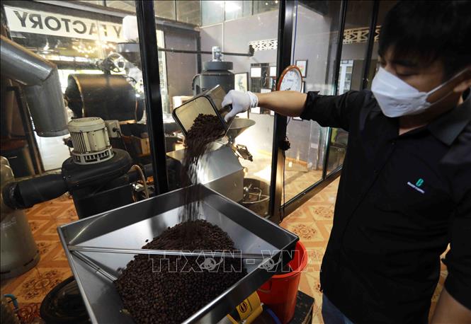 BaZan Co.Ltd., provides 60 tonnes of roasted coffee annually to domestic and Italian and European markets. VNA Photo: Vũ Sinh 
