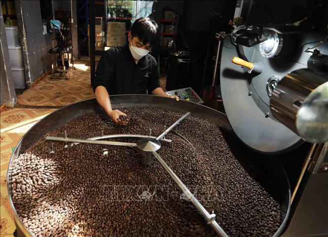 BaZan Co.Ltd., provides 60 tonnes of roasted coffee annually to domestic and Italian and European markets. VNA Photo: Vũ Sinh 