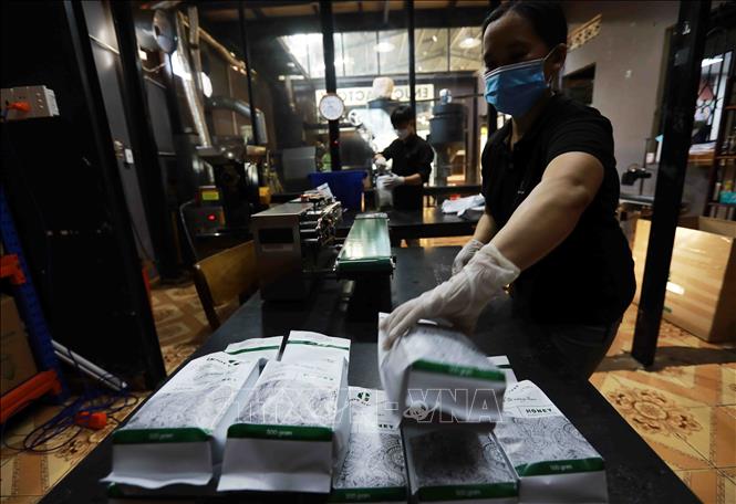 Packaging coffee beans at the BaZan Co.Ltd., in Gia Nghia city, Dak Nong province. VNA Photo: Vũ Sinh 