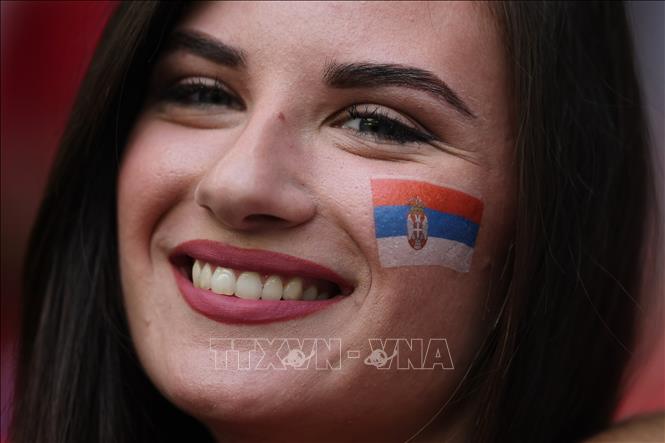 Trong ảnh: Cổ động viên Serbia cổ vũ trong trận đấu với đội tuyển Cameroon. Ảnh: AFP/TXVN