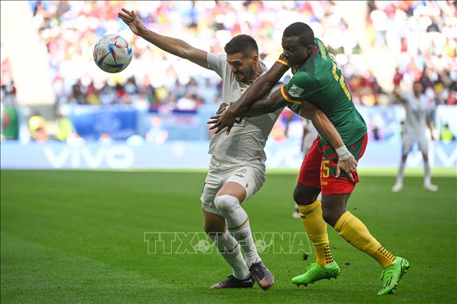 Trong ảnh: Tiền đạo Dusan Tadic (số 10) đội tuyển Serbia tranh bóng quyết liệt với hậu vệ Nouhou Tolo (số 25) đội tuyển Cameroon. Ảnh: AFP/TTXVN