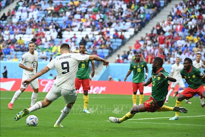 Trong ảnh: Tiền đạo Aleksandar Mitrovic (số 9) đội tuyển Serbia trong trận đấu với Cameroon. Ảnh: AFP/TTXVN