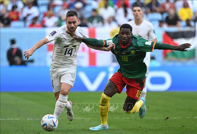 Trong ảnh: Pha tranh bóng quyết liệt giữa Andrija Zivkovic (số 14 ) đội Serbia và  Martin Hongla (số 18) đội Cameroon. Ảnh: AFP/TTXVN
