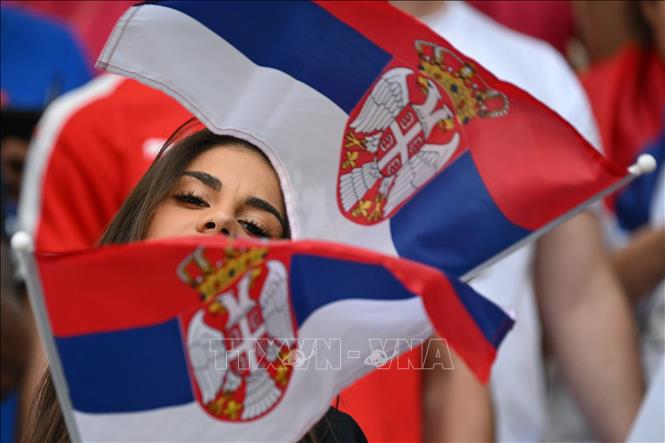 Trong ảnh: Cổ động viên Serbia cổ vũ trong trận đấu với đội tuyển Cameroon. Ảnh: AFP/TTXVN