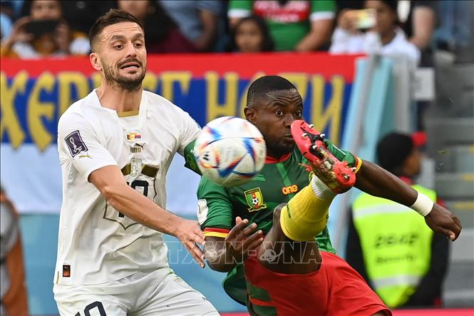 Trong ảnh: Hậu vệ  Collins Fai (số 19 ) đội tuyển Cameroon tranh bóng với tiền đạo Dusan Tadic (số 10) đội tuyển Serbia. Ảnh: AFP/TTXVN