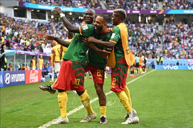Trong ảnh: Các cầu thủ đội Cameroon ăn mừng bàn thắng. Ảnh: AFP/TTXVN
