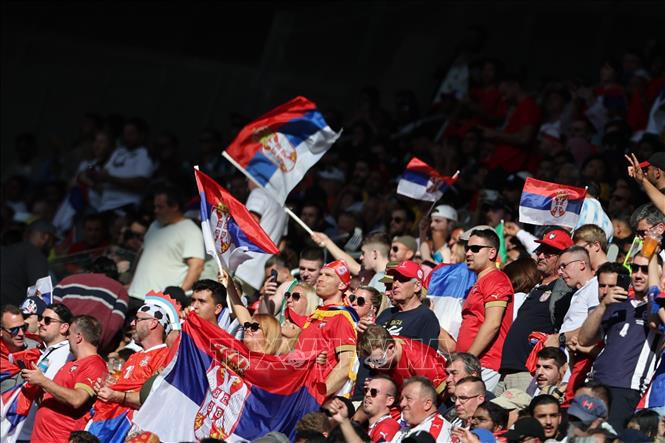 Trong ảnh: Cổ động viên đội tuyển Serbia cổ vũ trong trận đấu với Cameroon. Ảnh: AFP/TTXVN