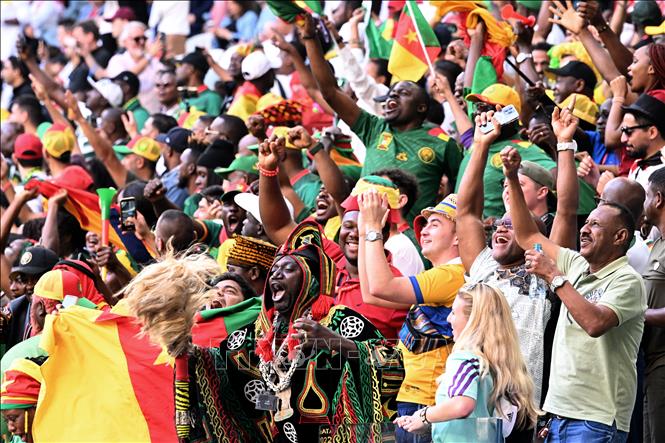 Trong ảnh: Cổ động viên đội tuyển Cameroon cổ vũ trong trận đấu với  Serbia. Ảnh: AFP/TTXVN