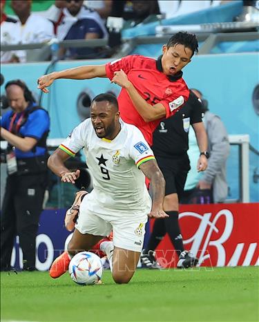 Andre Ayew của Ghana (trước) nỗ lực khống chế bóng trước Jung Woo-young của Hàn Quốc. Ảnh: Yonhap/TTXVN