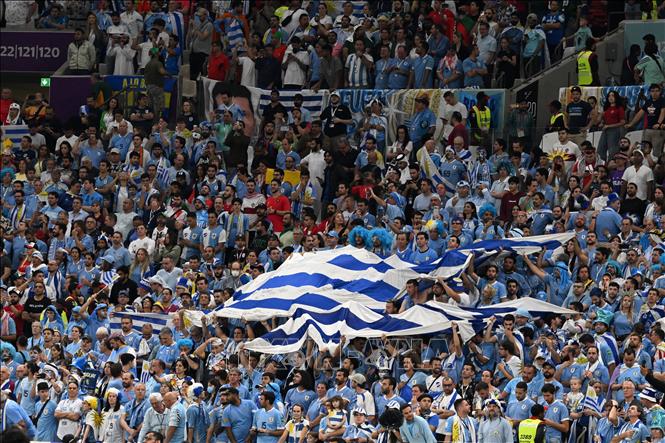 Cổ động viên đội tuyển Uruguay trên khán đài SVĐ Lusail. Ảnh: AFP/TTXVN