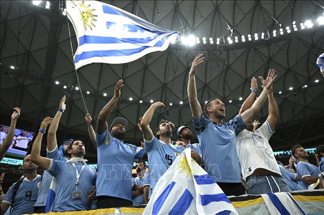 Cổ động viên đội tuyển Uruguay trong trận đấu với Bồ Đào Nha. Ảnh: THX/TTXVN