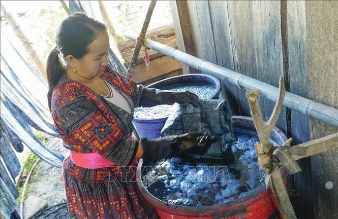 Trong ảnh: Sau khi tạo hoa văn, vải được mang đi nhuộm chàm. Ảnh: Xuân Tư – TTXVN