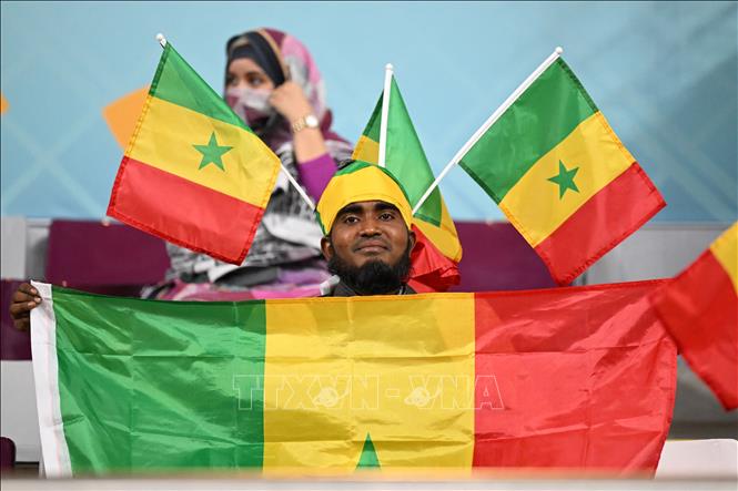 Cổ động viên Senegal trên khán đài sân vận động quốc tế Khalifa. Ảnh: AFP/TTXVN