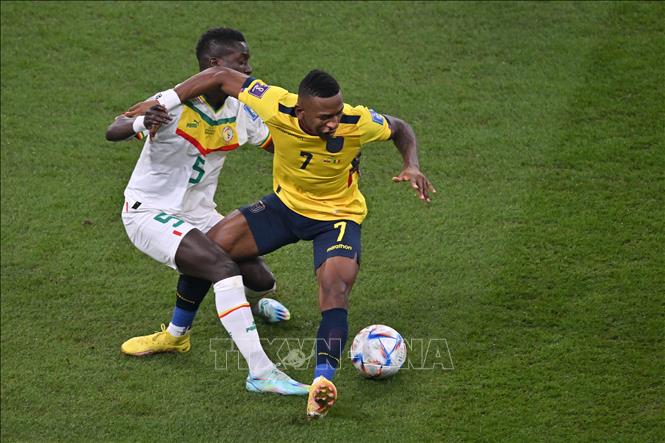 Tiền vệ Idrissa Gana Gueye (trái) của Senegal tranh bóng với hậu vệ Pervis Estupinan của Ecuador. Ảnh: AFP/TTXVN