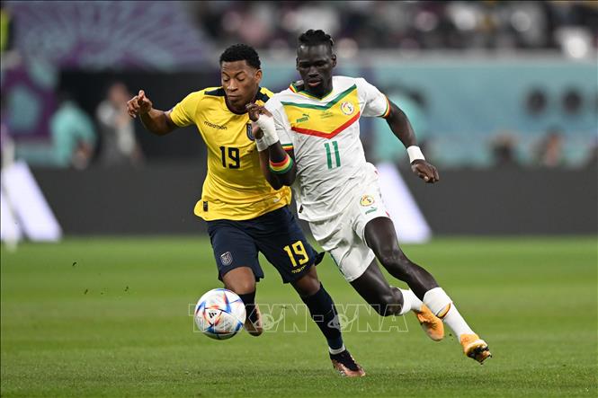 Ecuador và Senegal tạo ra thế trận hấp dẫn ngay từ những phút đầu trận đấu. Ảnh: AFP/TTXVN