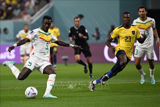Ecuador và Senegal tạo ra thế trận hấp dẫn ngay từ những phút đầu trận đấu. Ảnh: AFP/TTXVN