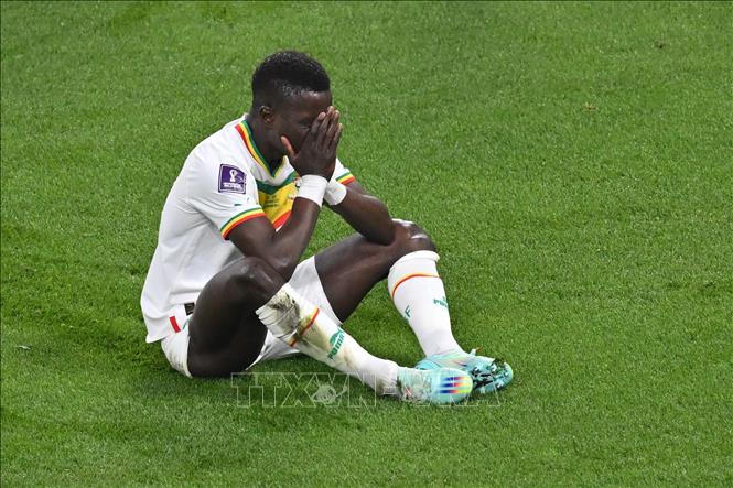 Nỗi thất vọng của tiền vệ Senegal Idrissa Gana Gueye sau khi bỏ lỡ cơ hội ghi bàn thắng trong trận đấu. Ảnh: AFP/TTXVN