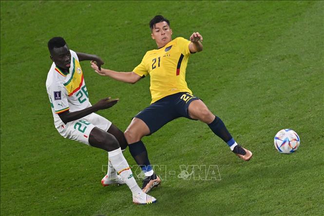 Tiền vệ Alan Franco (phải) của Ecuador nỗ lực kiểm soát bóng trước tiền vệ Pape Gueye của Senegal. Ảnh: AFP/TTXVN